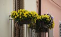 DSC00209