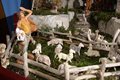 natale 2013 (12)