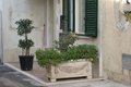 Natale 2013 (39)