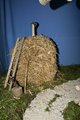 Natale 2015 (33)