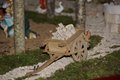 Natale 2015 (5)