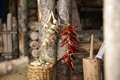 Natale 2015 (18)