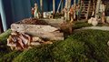 Natale 2017 (11)