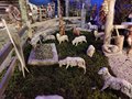 Natale 2019 (21)