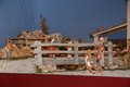 Natale 2020 (45)