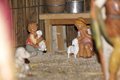 Natale 2020 (17)