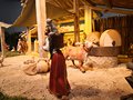 presepe 2021 (20)