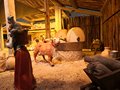 presepe 2021 (19)