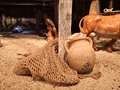 presepe 2021 (28)