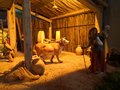 presepe 2021 (18)