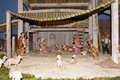 presepe 2021 (4)