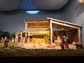 presepe 2021 (37)