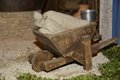 presepe 2021 (13)