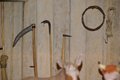 presepe 2021 (15)