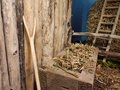 presepe 2022 (17)