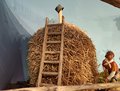 presepe 2022 (18)