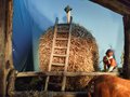 presepe 2022 (37)