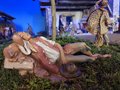 presepe 2022 (10)