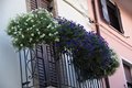 Patronale 2017 (69)