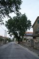 Patronale 2018 (56)