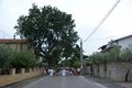 Patronale 2018 (57)